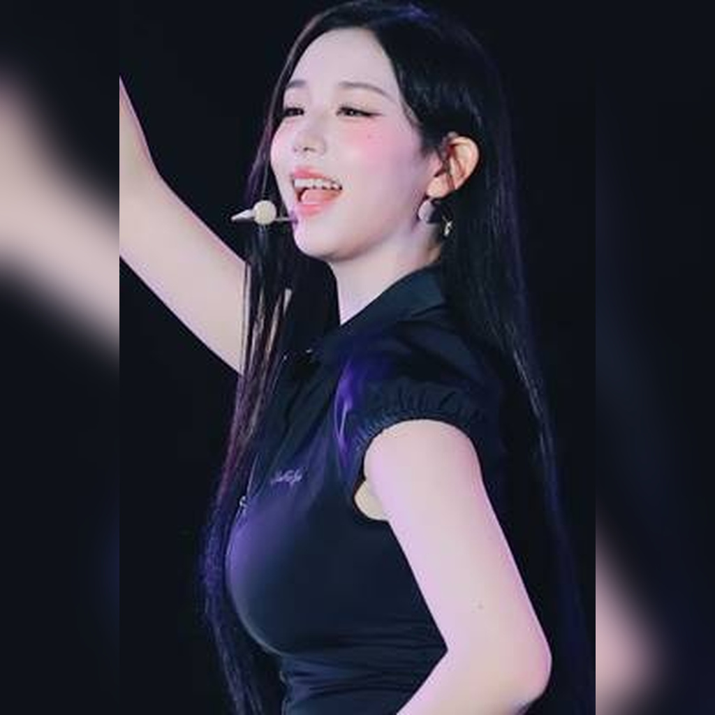 固定力结实的拉链 TripleS 金彩演 动图
